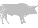 beef icon